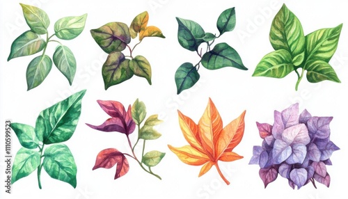 Poison ivy