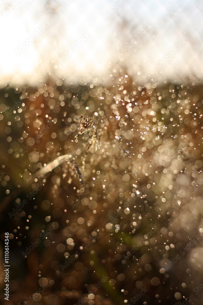 Obraz premium a close up of water droplets on a window with a blurred background
