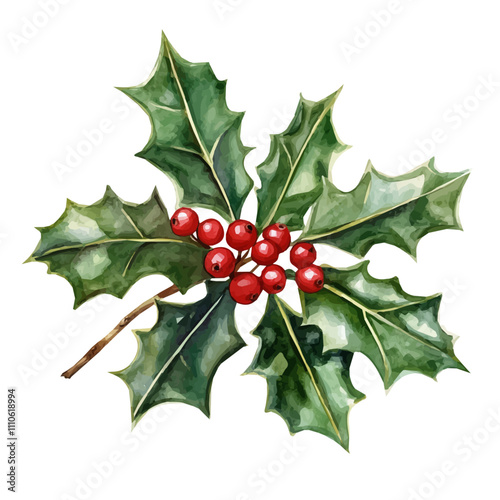 Watercolor Christmas decorated, Watercolor Christmas Holly berry, branch with red berries and green leaves, holly on an isolated white background, watercolor illustration, hand drawing, Watercolor