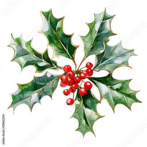 Watercolor Christmas decorated, Watercolor Christmas Holly berry, branch with red berries and green leaves, holly on an isolated white background, watercolor illustration, hand drawing, Watercolor