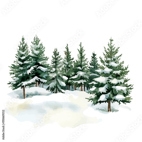 Watercolor Christmas tree farm with snow-covered evergreens isolated on a white background, Christmas tree with snow, vector