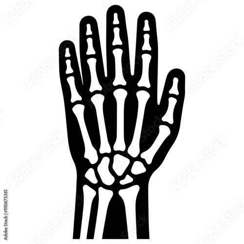 hand and wrist x-ray