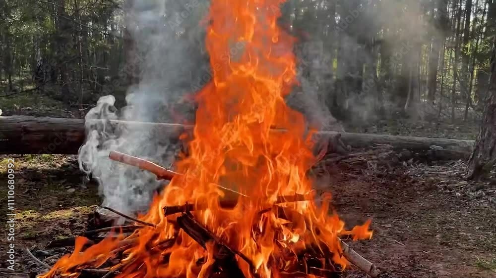 in the summer, tourists lit a bonfire in the forest at a rest stop in the summer, tourists lit a bonfire in the forest at a rest stop