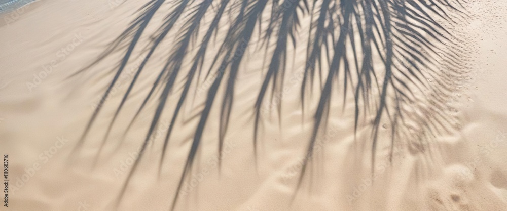 Obraz premium Abstract pattern of palm leaf shadows on sandy beach under clear blue sky, sunny day, serene atmosphere, relaxation