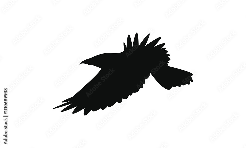 Flying Crow Bird Silhouette Design And Vector Illustration. Flying Crow Bird Silhouette Design And Vector Illustration.