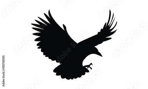 Flying Crow Bird Silhouette Design  And Vector Illustration. 
