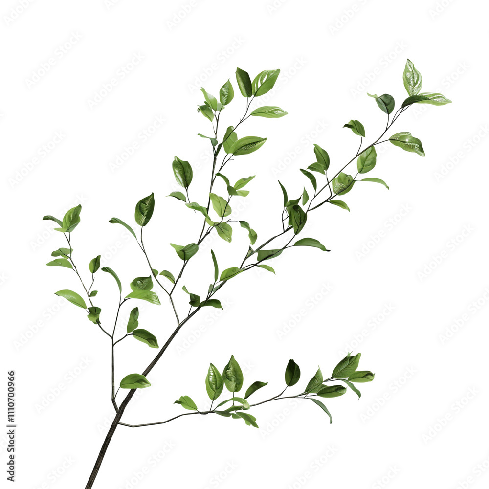 Fototapeta premium Green Branch with Leaves