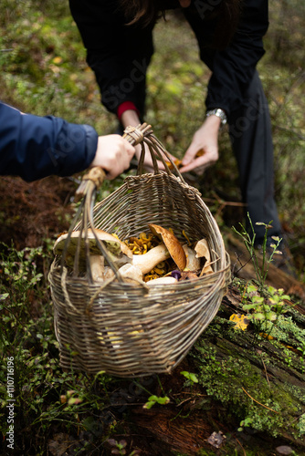 Panier en osier avec la récolte d'une cueillette de champignons dans la forêt