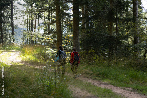 Groupe de personnes en randonnée dans la forêt sur un chemin dans la nature
