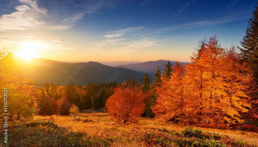 View of the autumn forest in mountains on sunset 