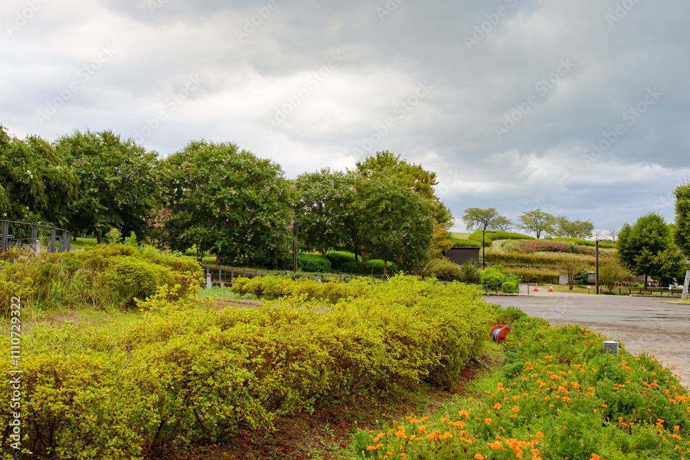 公園の緑と花が広がる風景 公園の緑と花が広がる風景