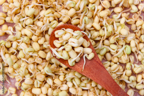 Sprouts From Mung Beans in Wooden spoon with sprouts background. Food ingredients photo