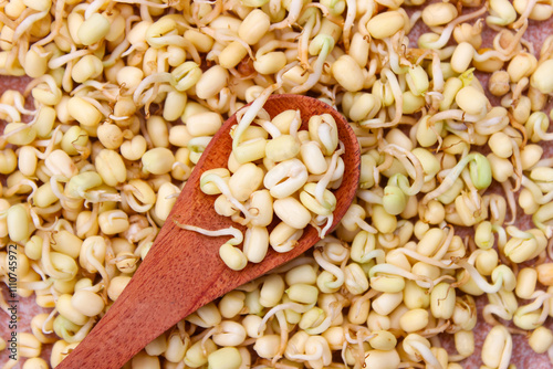 Sprouts From Mung Beans in Wooden spoon with sprouts background. Food ingredients photo