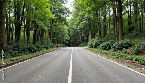 Celebrating Dia de los Reyes on a Lush Forest Road Surrounded by Nature's Serenity