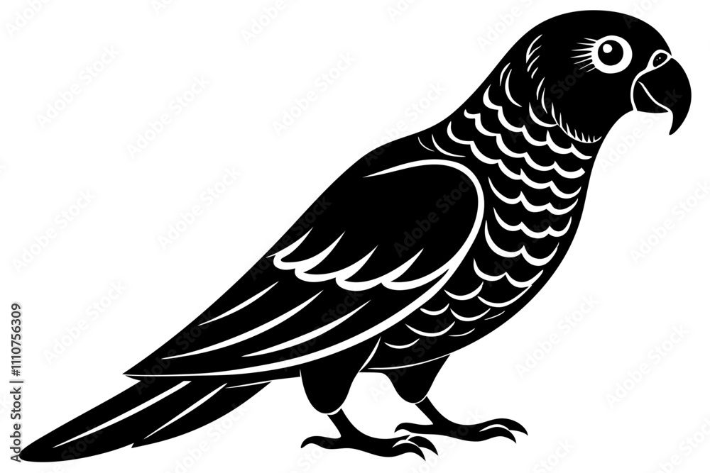 Fototapeta premium African Grey Parrot silhouette vector art on a whit background 