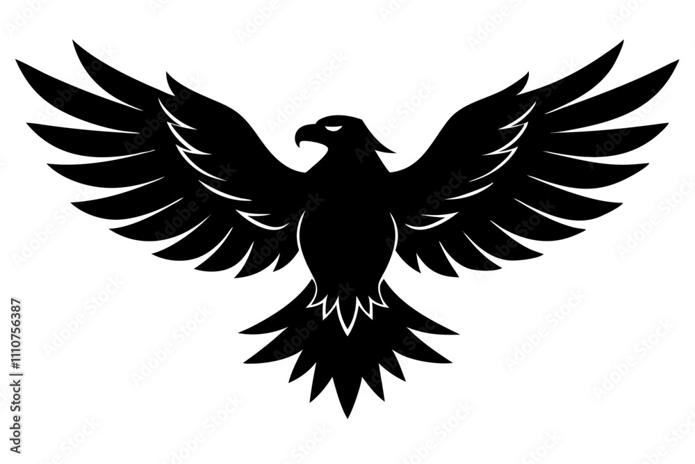 Obraz premium eagle with wings