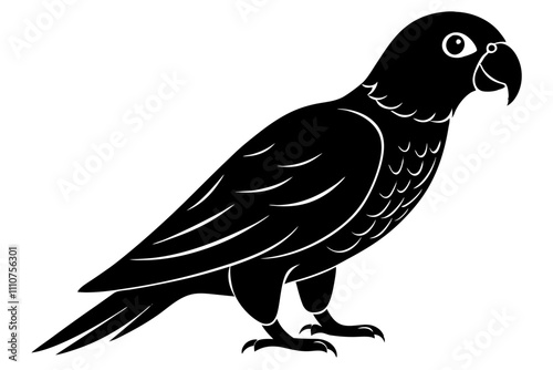 African Grey Parrot silhouette vector art on a whit background 