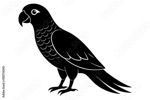 African Grey Parrot silhouette vector art on a whit background  photo