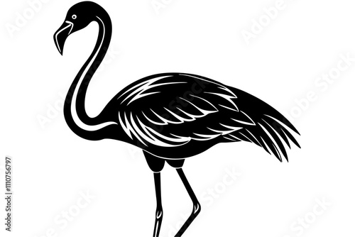 Lesser Flamingo silhouette vector art on a whit background  photo