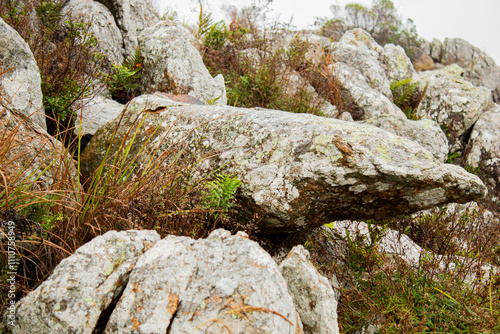 Rocas, caminos Tandil Bs As