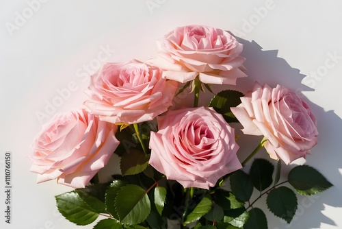 Close up of biuquet delicate pink roses on white wall background 