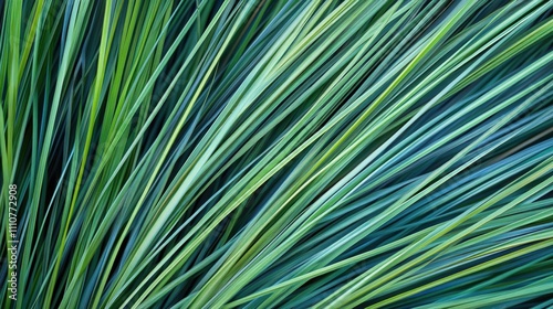 A Close-Up View of Vibrant Green Grass Blades with Varying Shades of Green and a Textured Surface Displaying Nature's Natural Beauty and Freshness