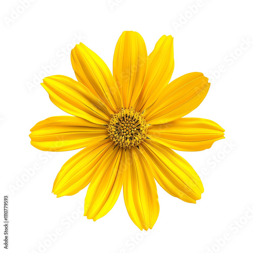 Yellow Flower Close Up
