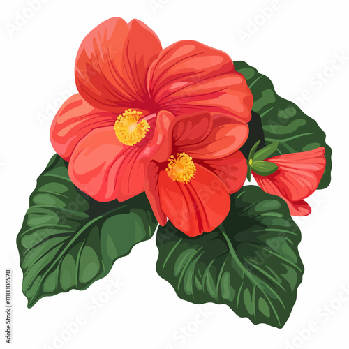 red hibiscus flower