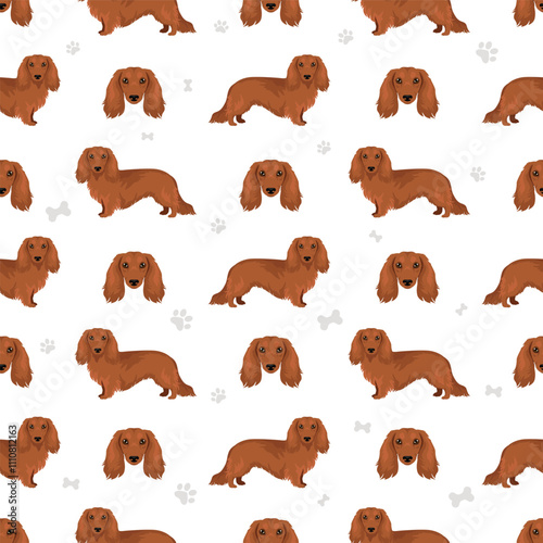Dachshund long haired dog seamless pattern. Different coat colors set.  Vector illustration