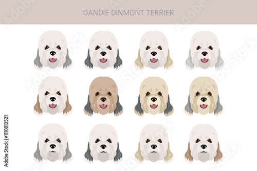 Dandie dinmont terrier puppy clipart. Different poses, coat colors set.  Vector illustration photo