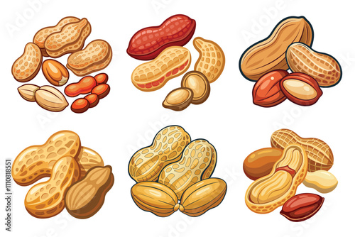 Set of peanut raw shelled vector illustration