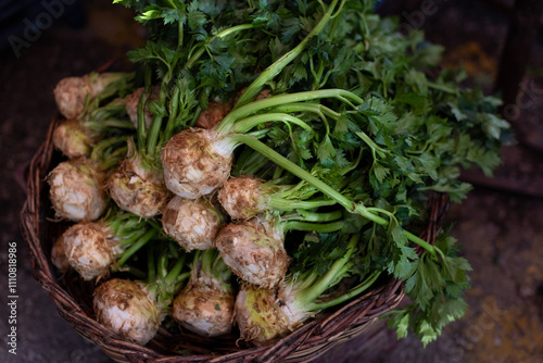 Celery Roots with Greens: A Fresh Pick at the Market