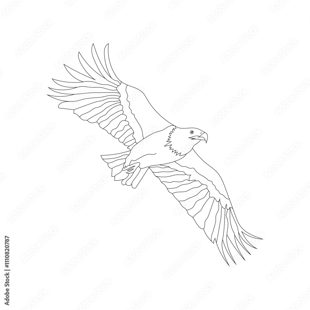 Fototapeta premium eagle flying coloring page vector illustration