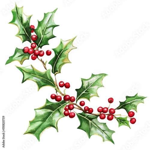 Watercolor Christmas decorated, Watercolor Christmas Holly berry, branch with red berries and green leaves, holly on an isolated white background, watercolor illustration, hand drawing, Watercolor