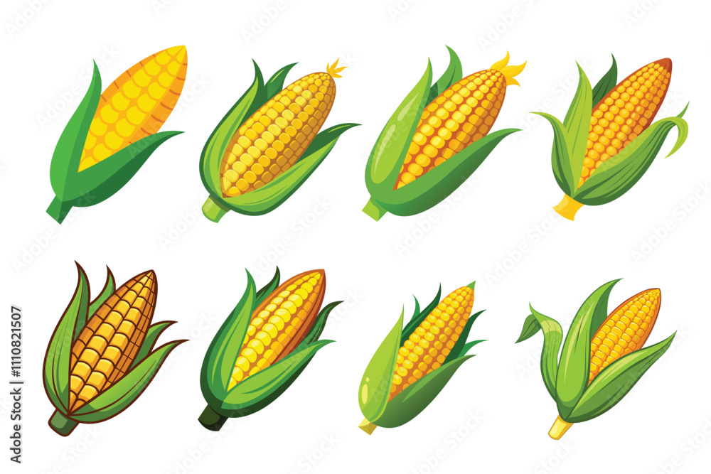Set of Corn vector illustrations isolated on a white background Set of Corn vector illustrations isolated on a white background