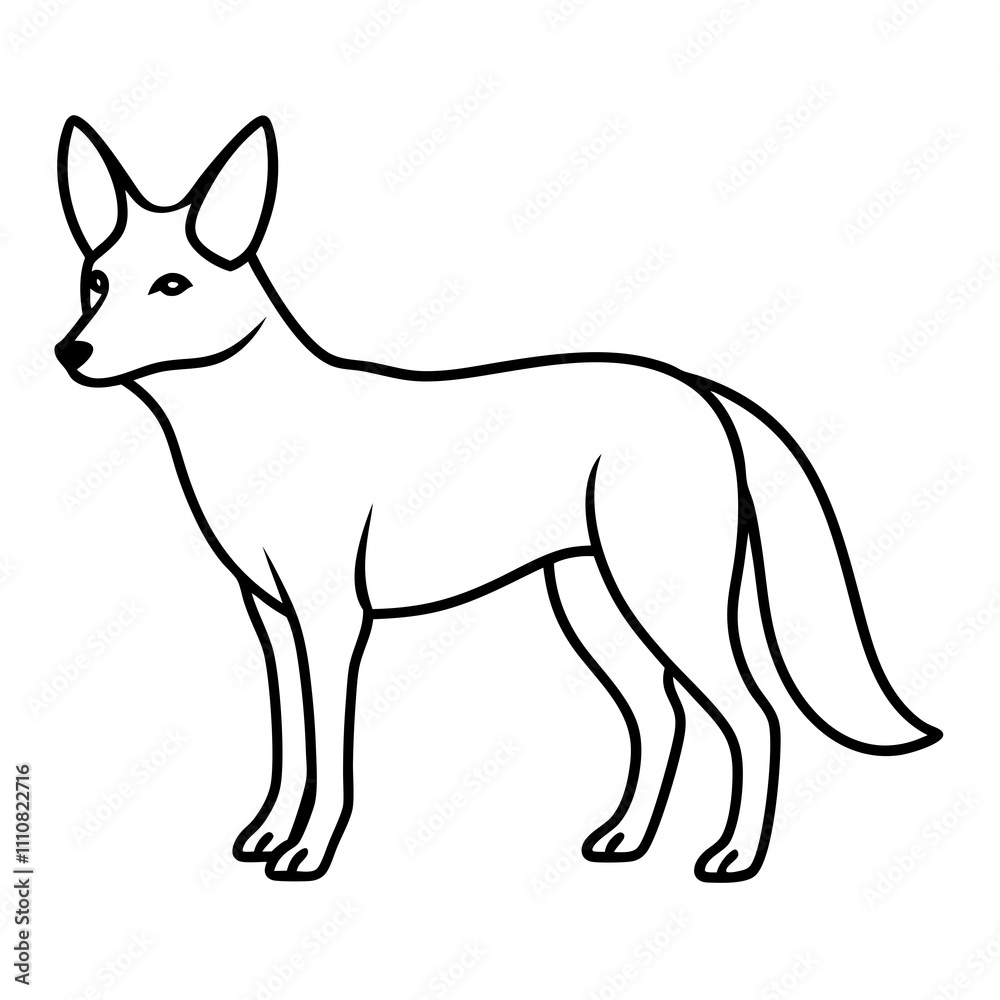 jacka silhouette vector illustration