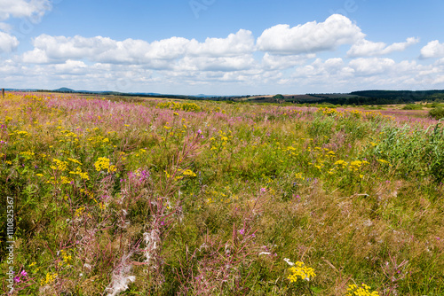 Auf dem Erzgebirgskamm bei Adolfsgrün im Grenzgebiet photo