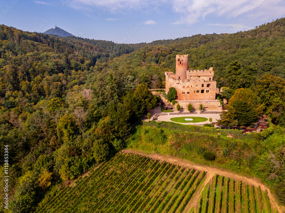 Aerial View on Kintzheim Castle in Kintzheim Alsace France