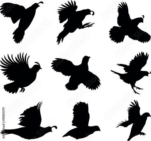 Quail flying silhouette vector illustration set