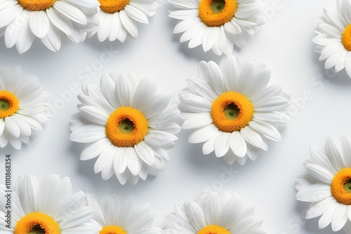 Minimalistic White Daisy Design with Gentle Yellow Centers