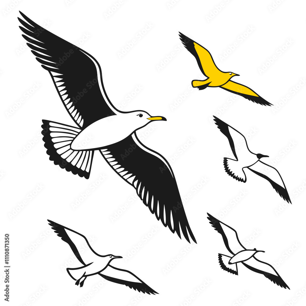 set of birds set of birds