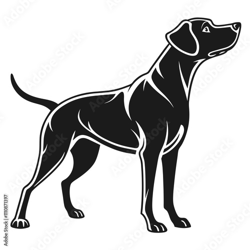 dog vector illustration