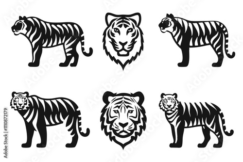 set of tiger vector