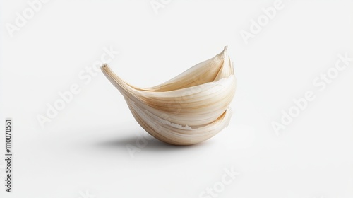 shell on white background