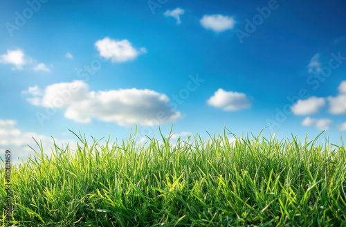 A vibrant green grass field under a clear blue sky with fluffy clouds.