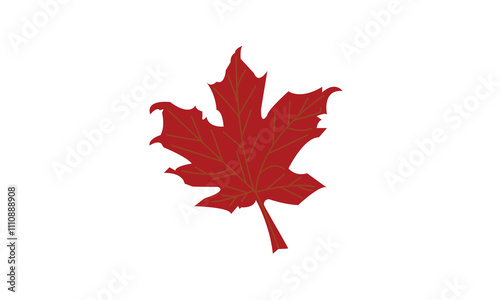 Maple leaves vector illustration. Autumn Fall leaves maple
