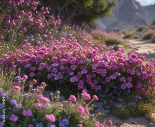 A sprawling calico bush with vibrant pink and purple flowers, ornamental, thorny shrub, horrida photo