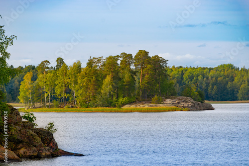 Pines and birches on the bank of a river island against a beautiful sky with clouds. Vyborg. Island of 33 pines. Close-up