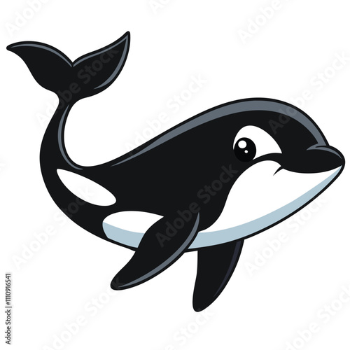 cetaceans vector illustration. cetaceans cartoon clipart, animal in flat style.