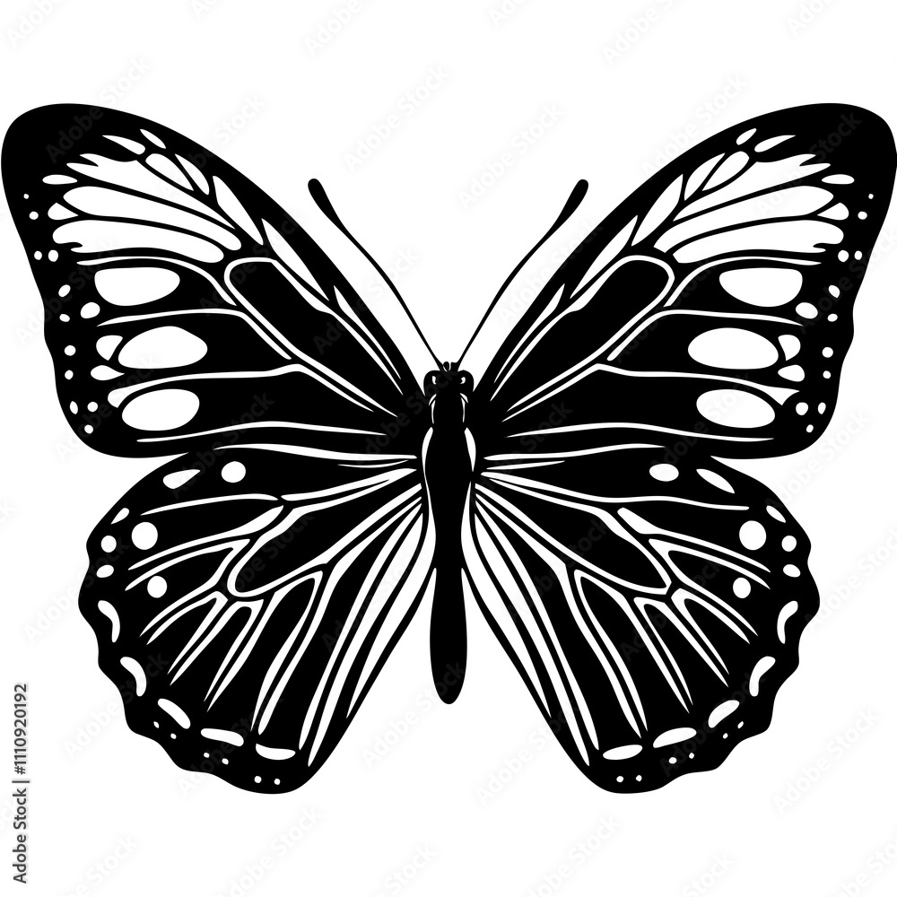 Butterfly silhouette Vector Illustration isolated on white background Butterfly silhouette Vector Illustration isolated on white background